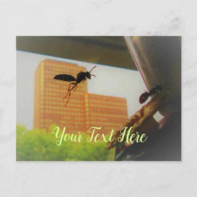 Flying Paper Wasp and Black Carpenter Ant Postcard (Front)