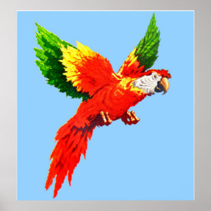 flying parrot poster
