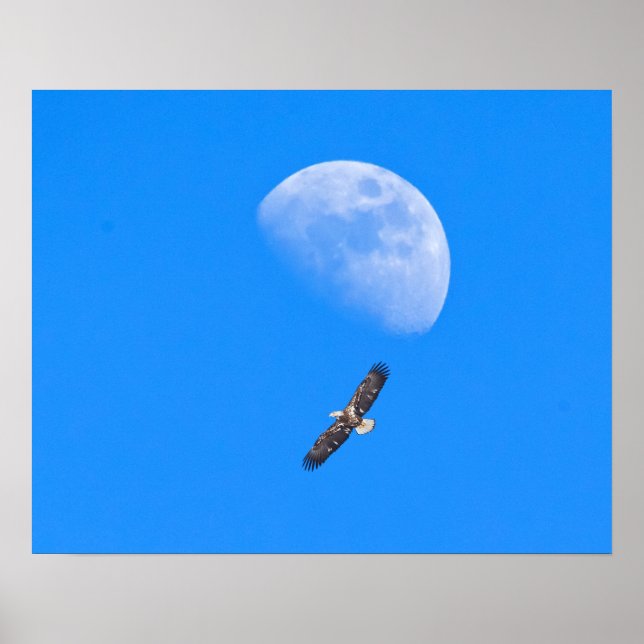 Flying Past the Moon Poster (Front)