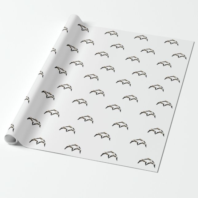 Flying Pelican 2 Wrapping Paper (Unrolled)