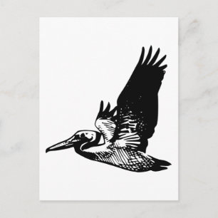 Flying Pelican Postcard