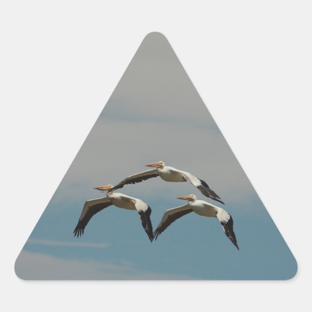 Flying Pelican Sticker (Front)