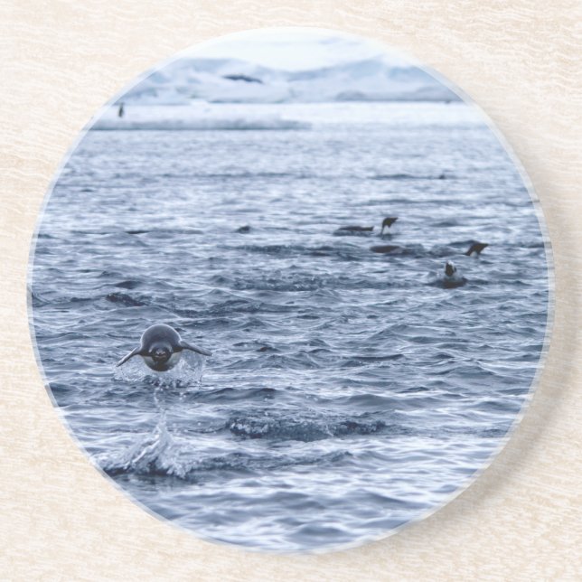 Flying penguin coaster (Front)