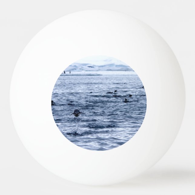 Flying penguin ping pong ball (Back)