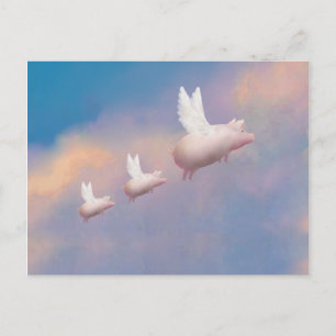 flying pig family postcard