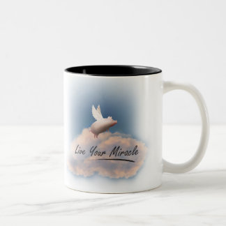 flying pig live your miracle mug