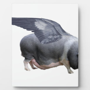 flying pig plaque