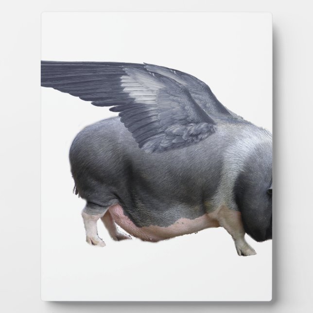 flying pig plaque (Front)