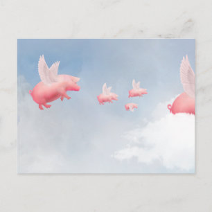 Flying Pig Postcard