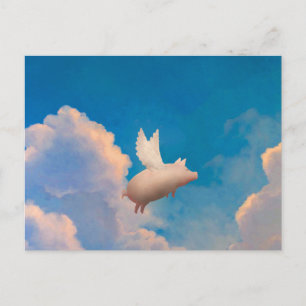 flying pig postcard