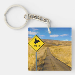 Flying Pig Sign Key Ring