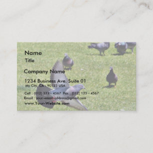 Flying Pigeon Business Card