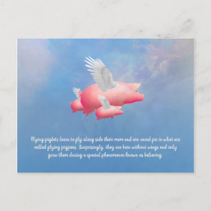 Flying Piglets Postcard