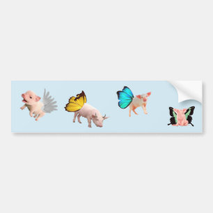 Flying Pigs Bumper Sticker