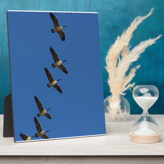Flying Plaque (Side)