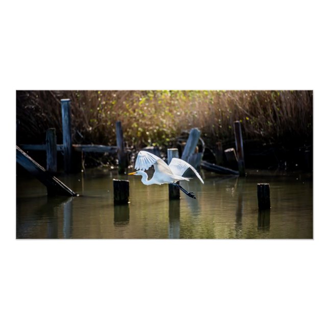 Flying  poster (Front)