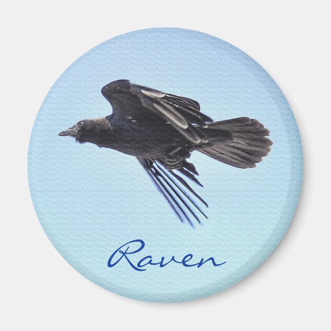 Flying Raven in Blue Sky HDR Photo Design Magnet (Front)