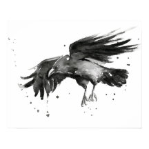 Flying Raven Painting Watercolor Poster Print