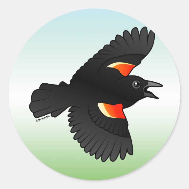 Flying Red-winged Blackbird Classic Round Sticker (Front)
