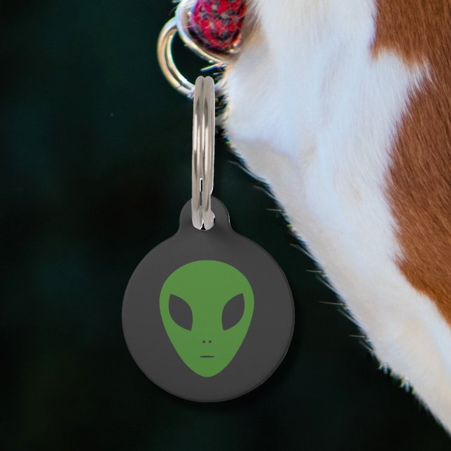 Flying Saucer & Green Alien Pet Tag (Green Alien Pet Tag)
