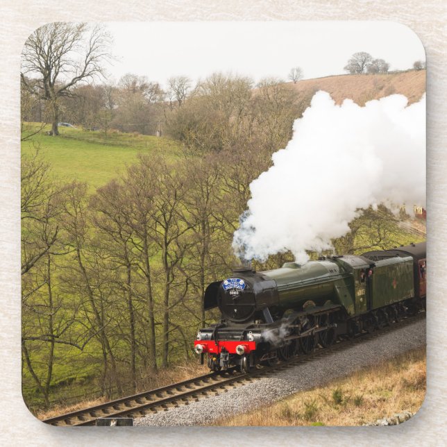 Flying Scotsman at Goathland Coaster (Front)