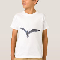 Flying Sea Gull Wildlife Photo for Birdlovers