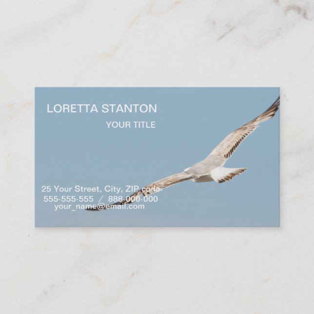 Flying seagull business card (Front)