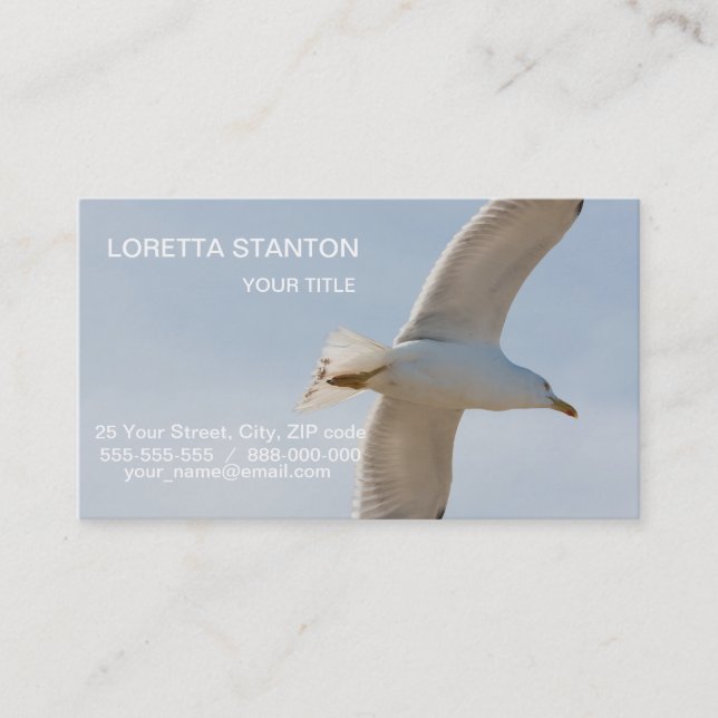 Flying seagull business card (Front)