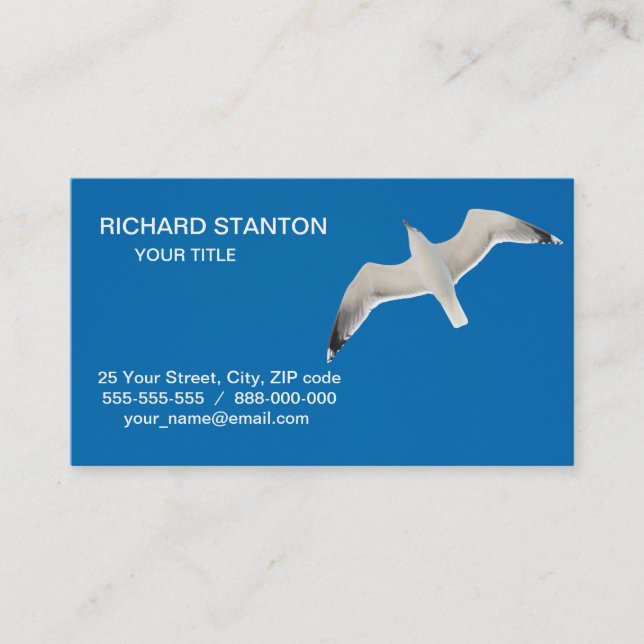 Flying seagull business card (Front)