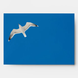 Flying seagull envelope