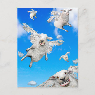 FLYING SHEEP 2 POSTCARD