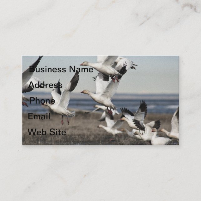 Flying Snow Geese Business Card (Front)