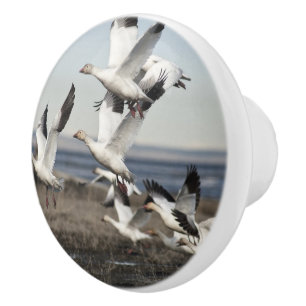 Flying Snow Geese Ceramic Knob