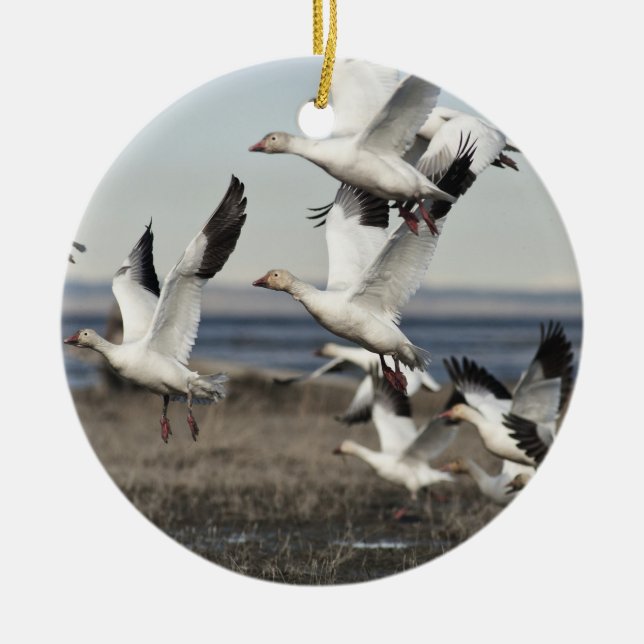 Flying Snow Geese Ceramic Tree Decoration (Front)