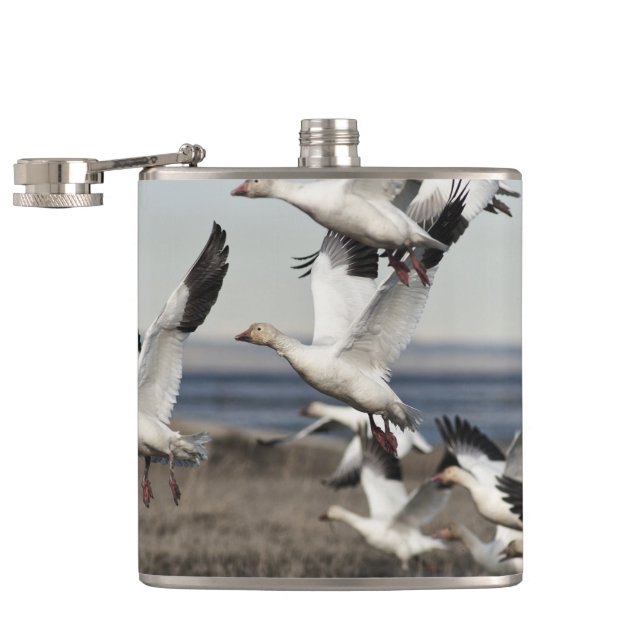 Flying Snow Geese Hip Flask (Opened)