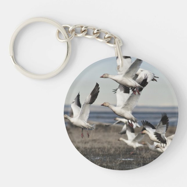 Flying Snow Geese Key Ring (Front)