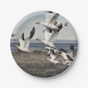 Flying Snow Geese Paper Plate