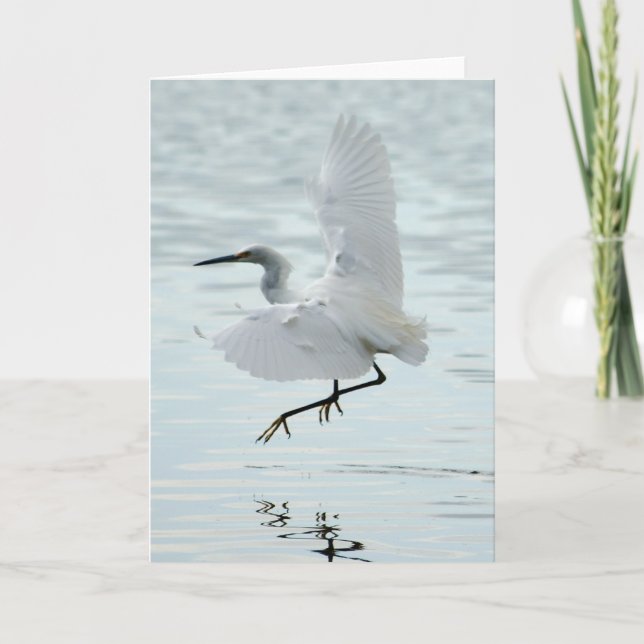 Flying Snowy Egret Card (Front)