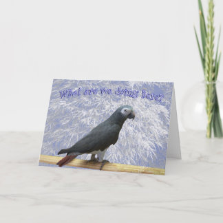 Flying South Holiday Card