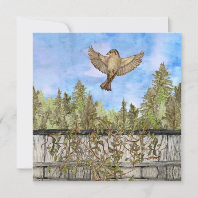 Flying Sparrow Blue Sky Blank Flat Note Card (Front)