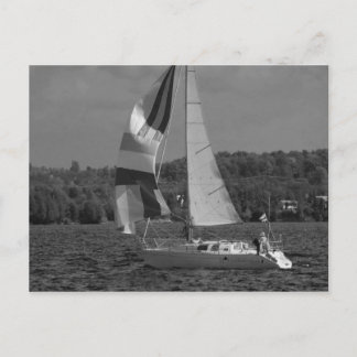 Flying Spinnaker Postcard