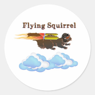 Flying Squirrel Classic Round Sticker