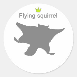 Flying squirrel g5 classic round sticker