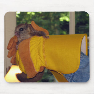 Flying Squirrel Mouse Mat