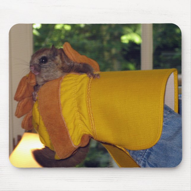 Flying Squirrel Mouse Mat (Front)