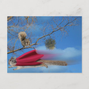 Flying Squirrel Postcard