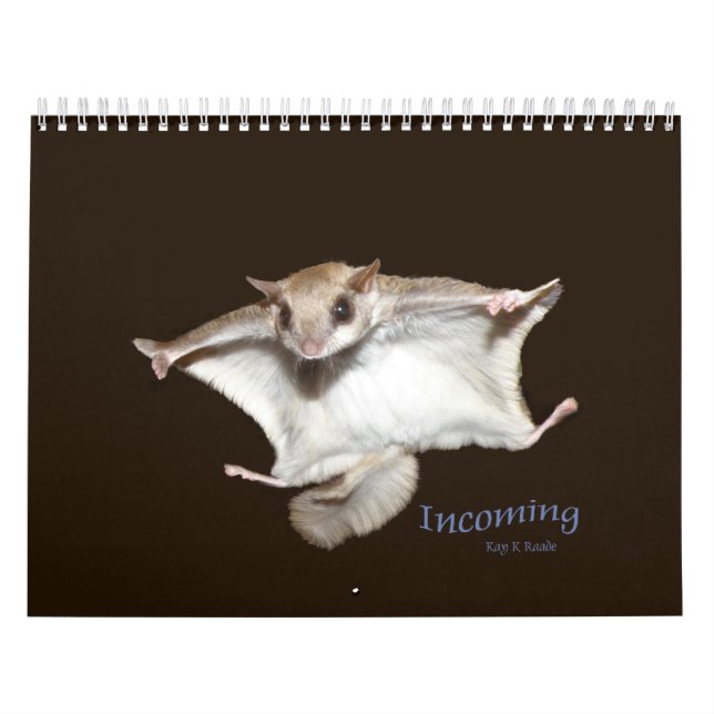 Flying Squirrels Calendar (Cover)