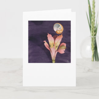 Flying Starry   Card