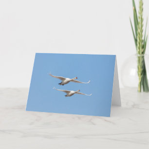 Flying Swans Nature Photo Card