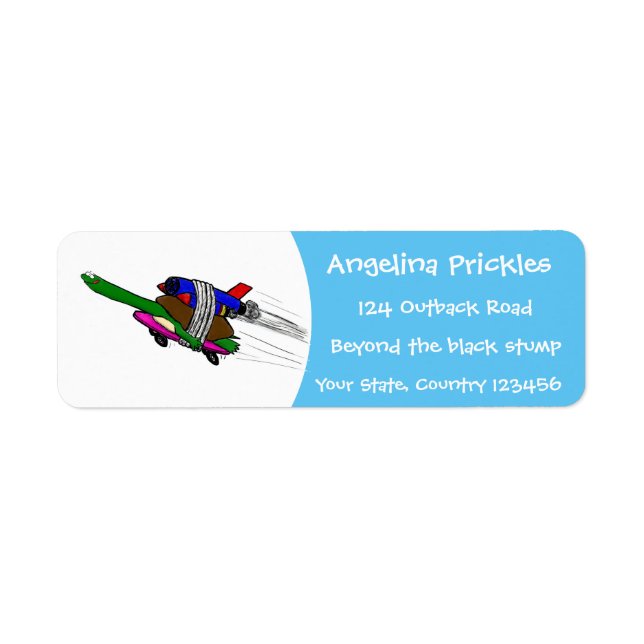 Flying tortoise (Front)